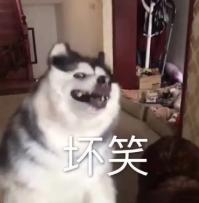 12星座之白羊金牛双子巨蟹狮子 (12星座爱情配对巨蟹白羊)