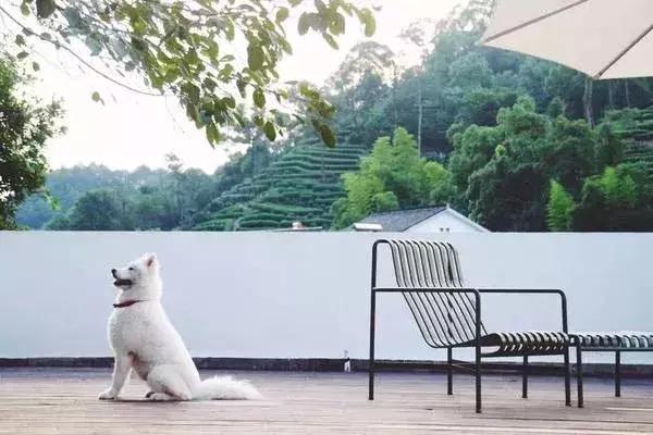 杭州十大网红民宿300以内,杭州十大景点民宿排名第一