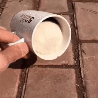 揭秘互联网比较常见的网赚骗局,知识分享割韭菜新套路