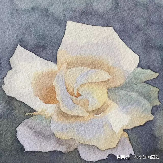 100种花卉绘画,100多张花卉线描手稿素材赶快收藏