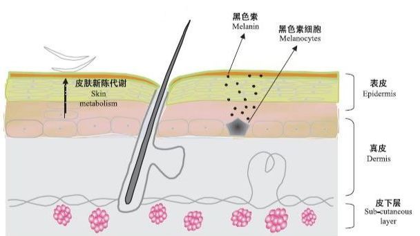 肤色不均,色沉严重?搞不定,算我输