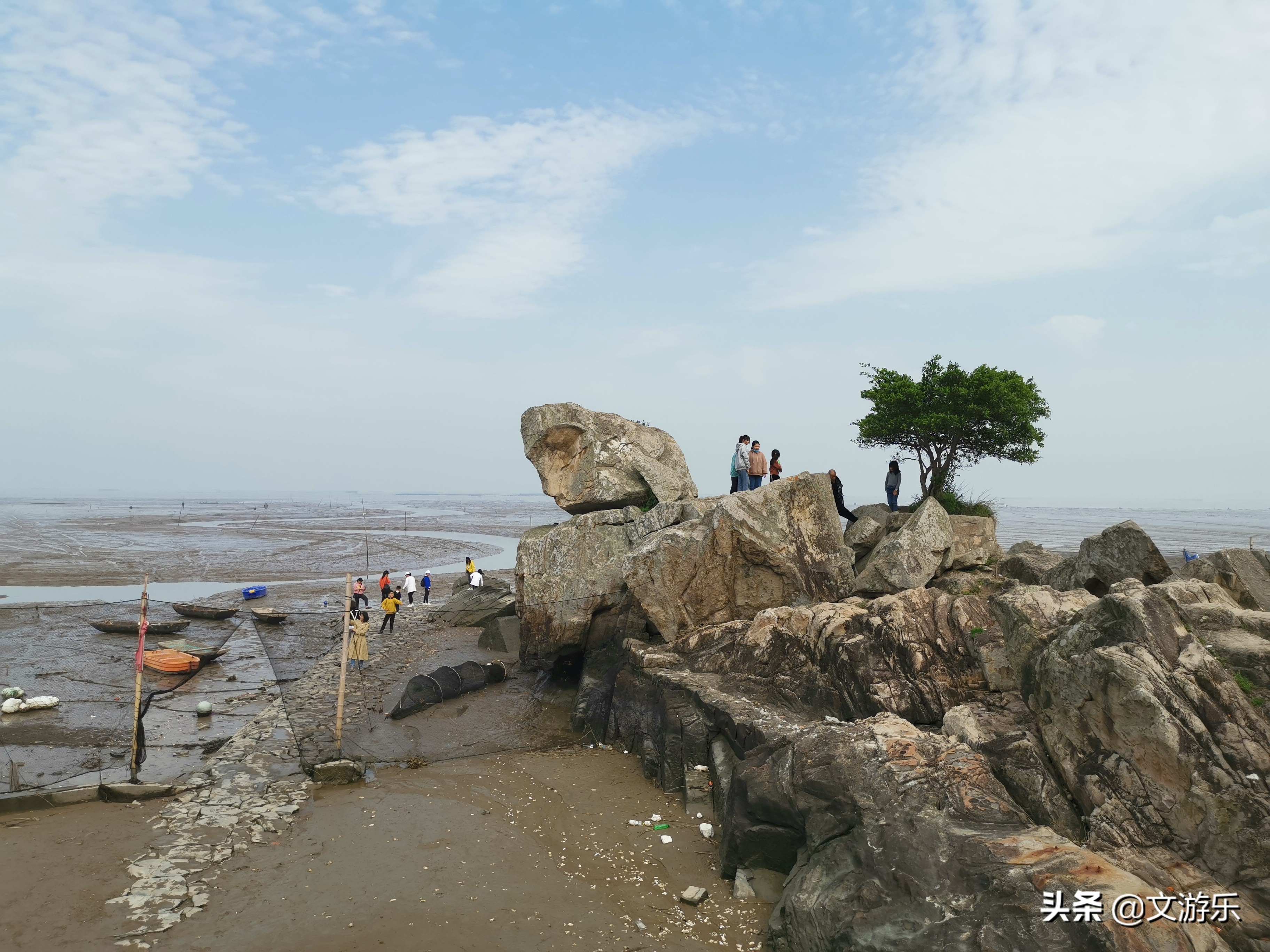 马尾有什么涵义,马尾是鬃毛吗