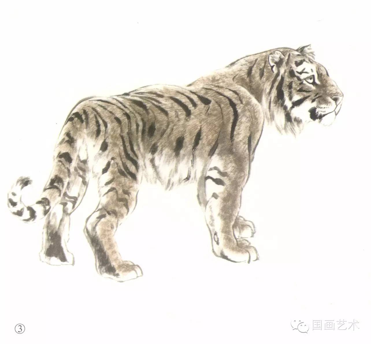 写意画虎教程,写意虎的十种方法