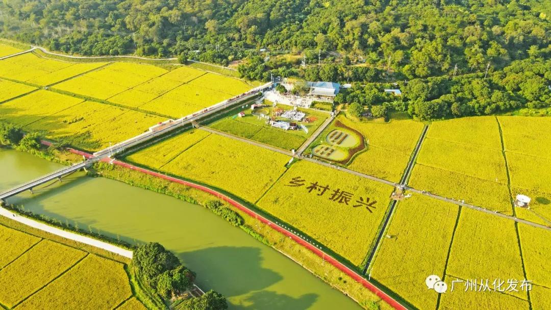 投资200亿元打造智能工厂,投资15亿的工厂