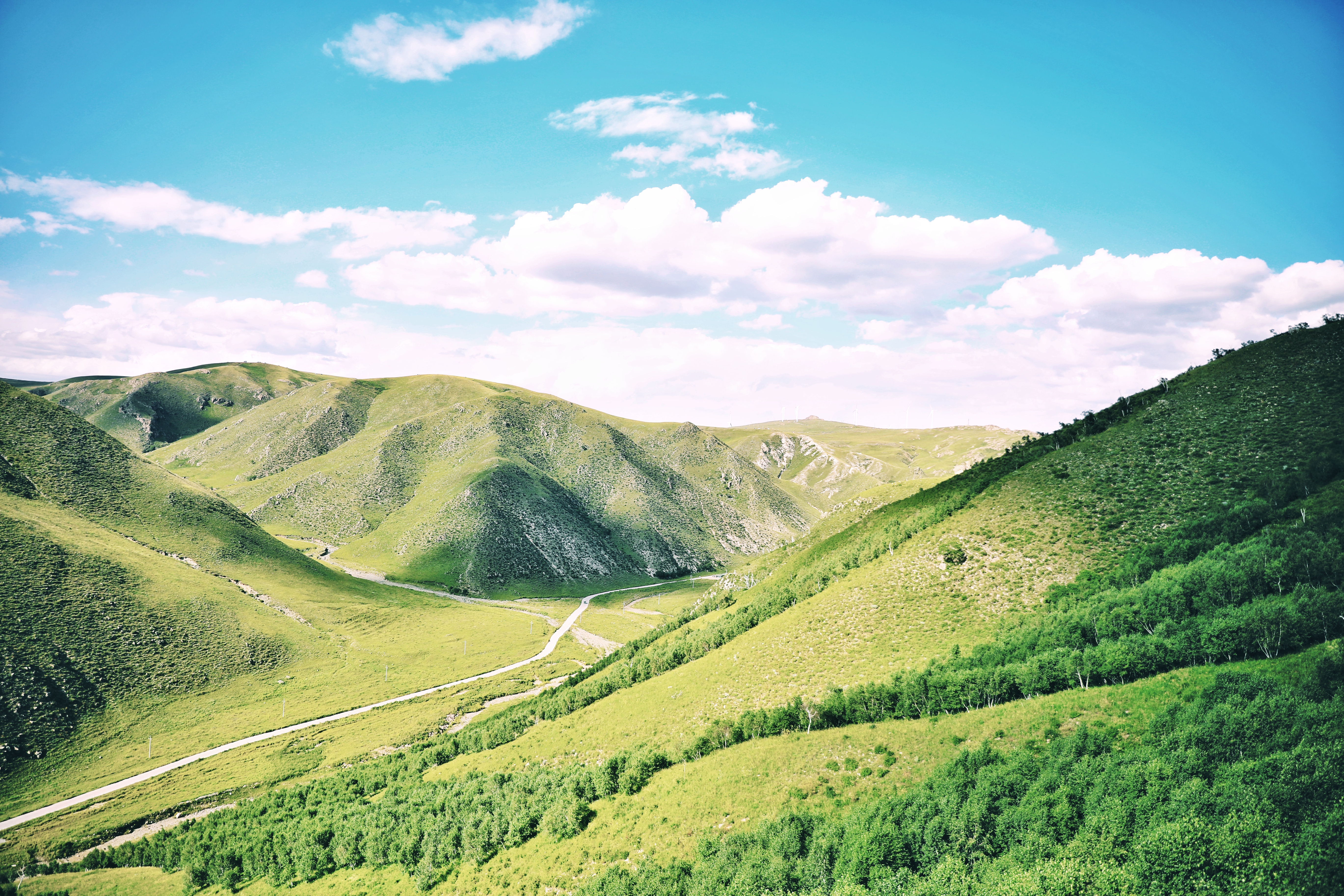辉腾锡勒黄花沟草原自驾游,辉腾锡勒草原黄花沟旅游攻略