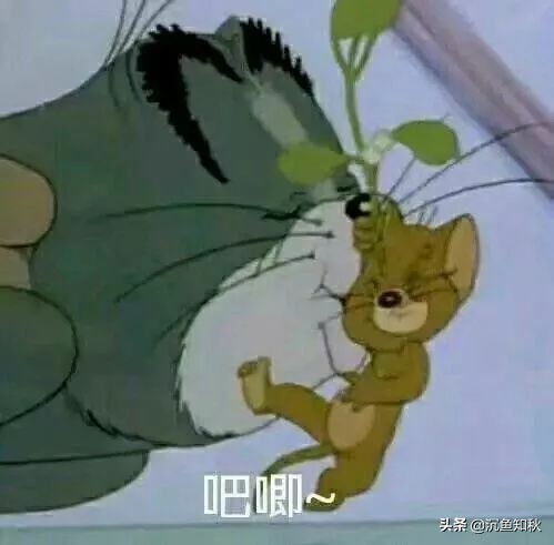 男生最喜欢女生的哪个特征,男生最喜欢女生的哪种身材