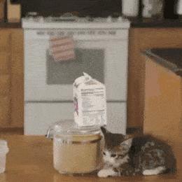 搞怪可爱猪图,搞笑猪脸图片