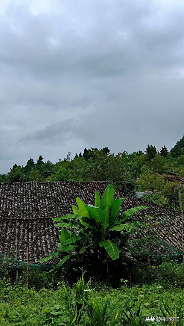 万源市竹峪镇东梨村,竹峪镇东梨村