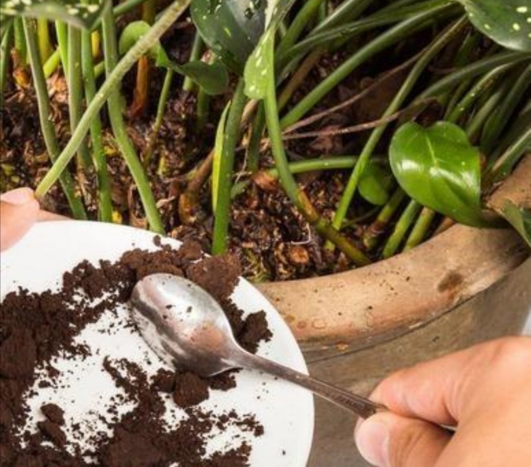 田地里的土壤太硬怎么办,土壤太硬了怎么变松散