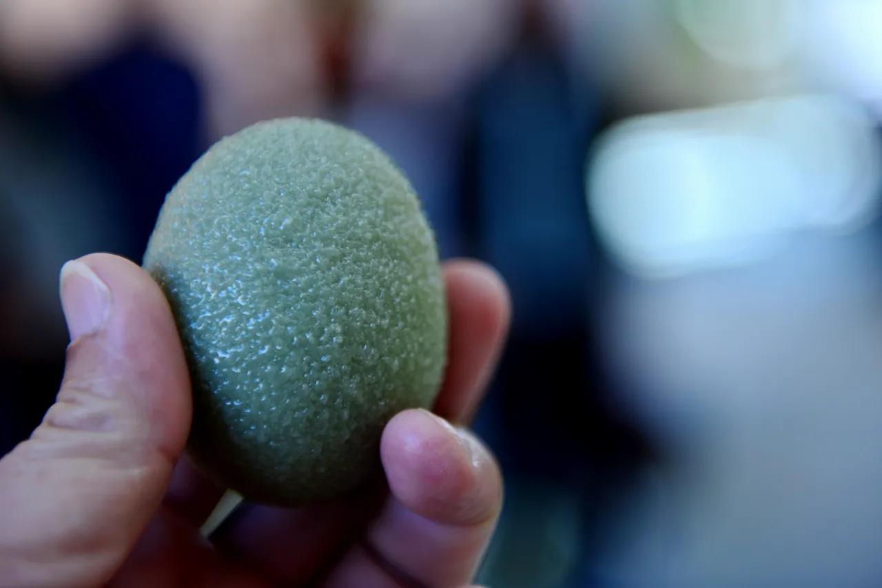 强首府战略南宁,网眼看广安