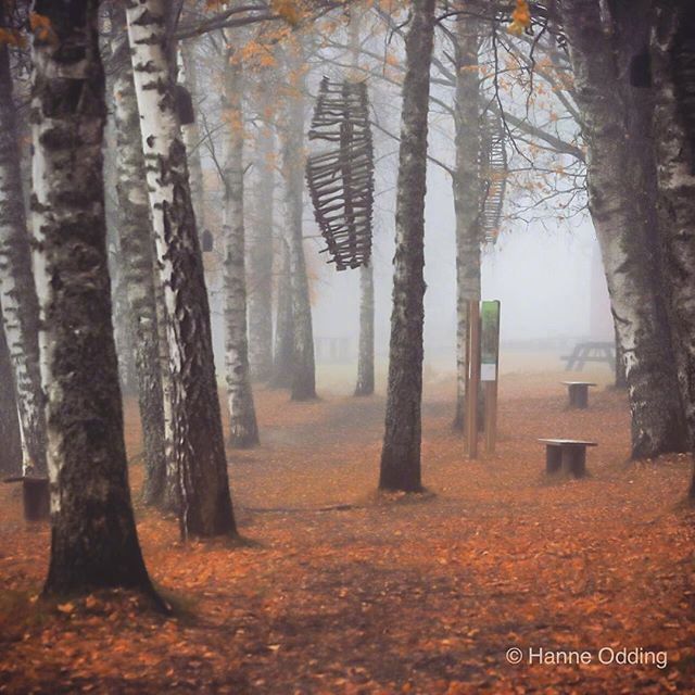 余生很长记得善良下一句怎么接,余生很长记得善良