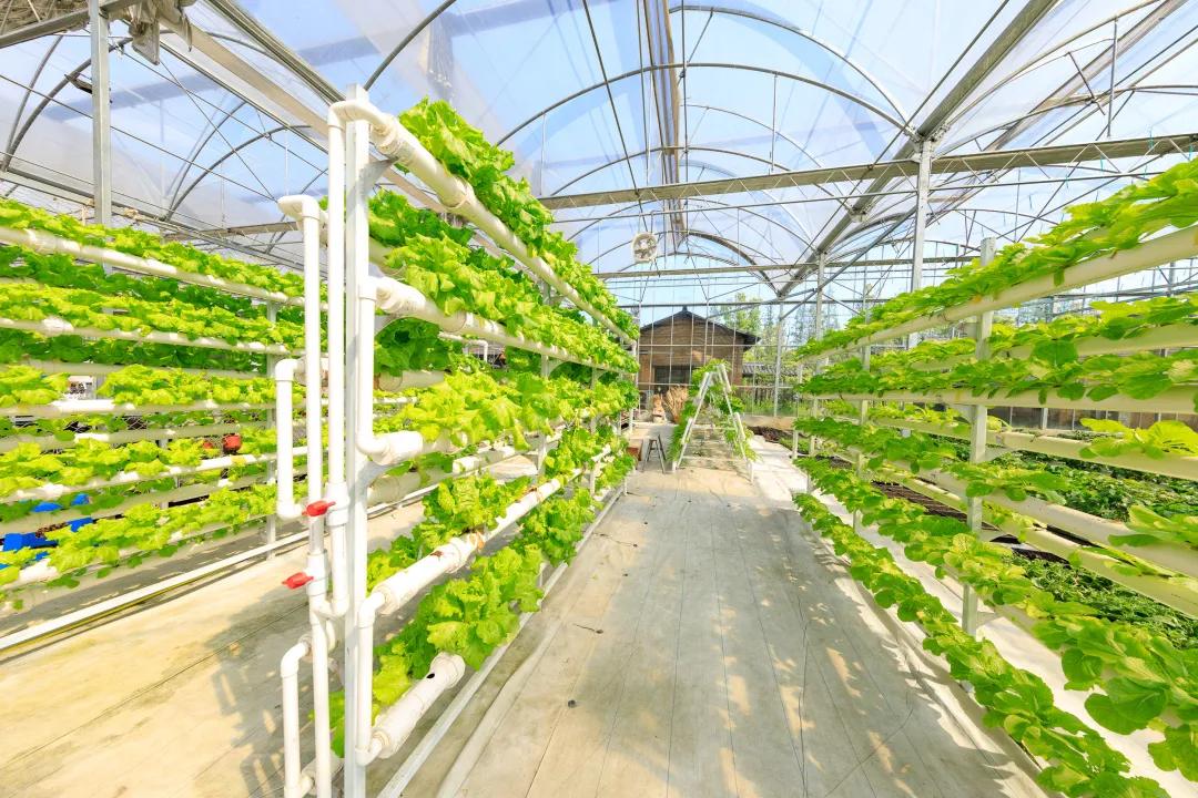 妗愪埂鍚堟偊姹熷崡骞哥鐢熸椿,妗愪埂鍚堟偊姹熷崡鏃呮父鏀荤暐