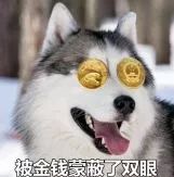 在澳洲留学生的真实经历,澳洲留学生真的很穷吗