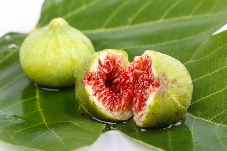 无花果树干内有害虫怎么办,怎样杀死无花果根部的害虫