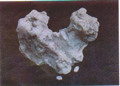 不同年代的小学课文插图,小学课文插图还记得多少