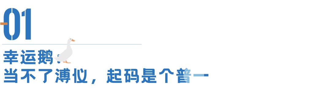 为搞懂摇号新规，这次我们问了近千人……
