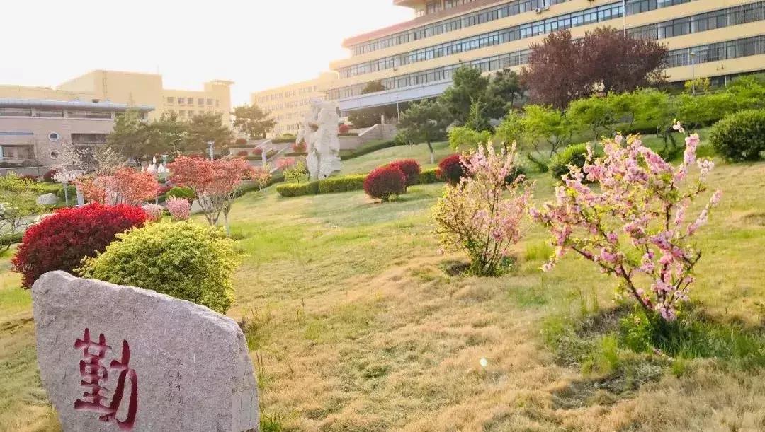 青岛大学2020年硕士研究生招生简章