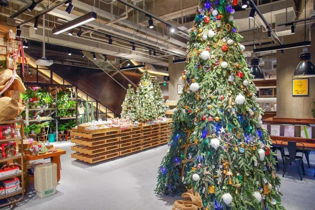 nikoand旗下有哪些品牌,nikoand品牌怎么样