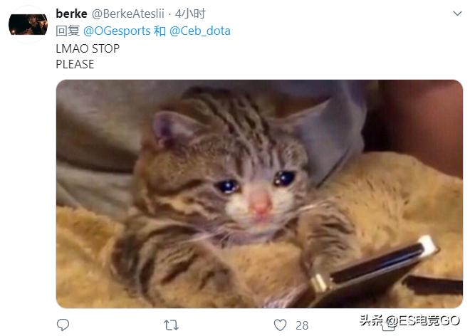 dota2og战队ceb复出,ogdota2阵容