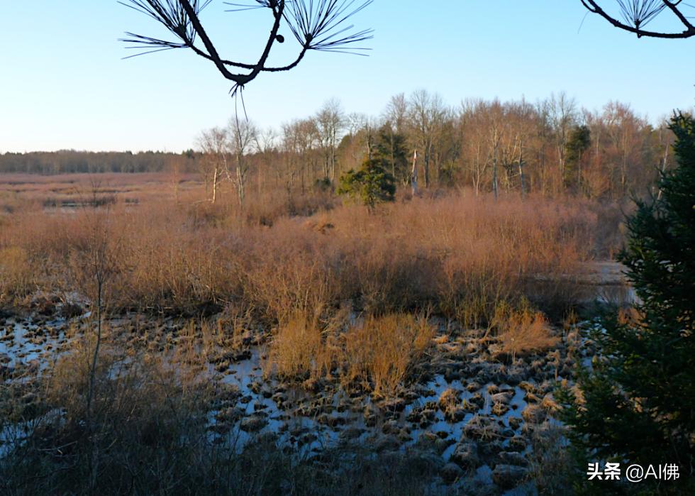 美洲原住民部落分布图,美国最牛印第安部落