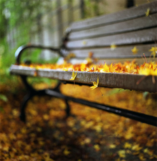 「摄影小白学习篇」3个拍出浅景深的简单技巧