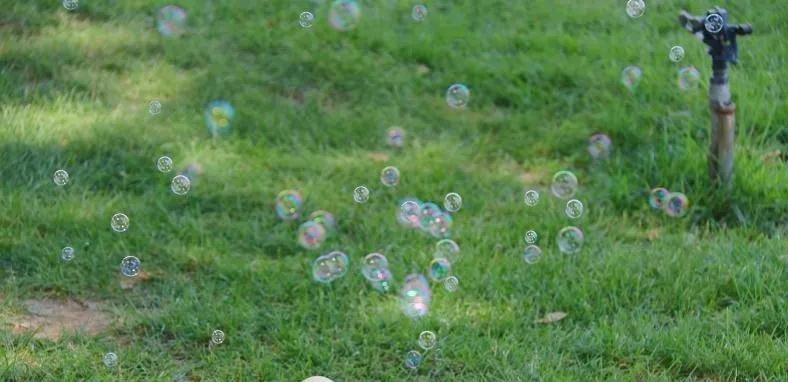 北京人少景美赏秋的公园,北京赏秋中山公园