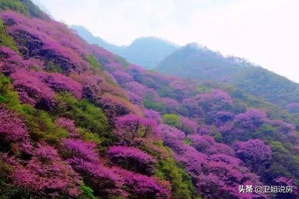 观察|均价8500+，西安半小时经济圈内鄠邑区凭什么房价这么高？