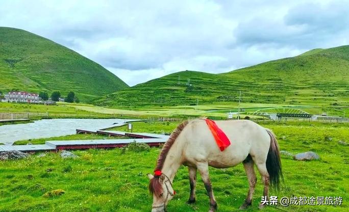 西藏女儿国亚青寺,藏地女儿国亚青寺图片