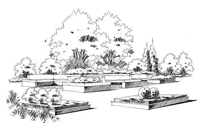 手绘效果图设计详解,干货五幅景观手绘效果图步骤图解