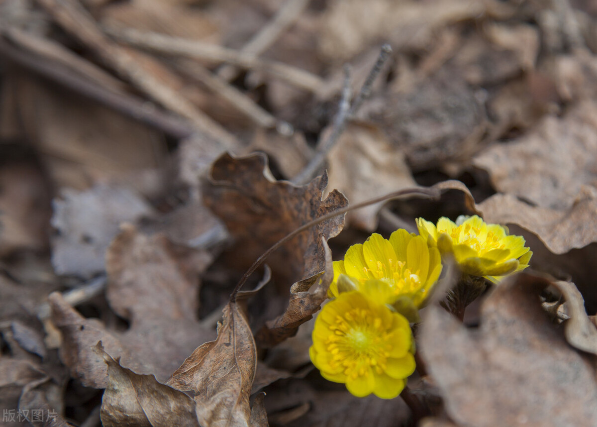 新中国建立初期我国教育教材,国家基础教育英语课改研究