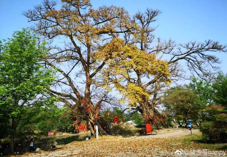 成都冷门旅游景点推荐,最新最全成都75个免费景点