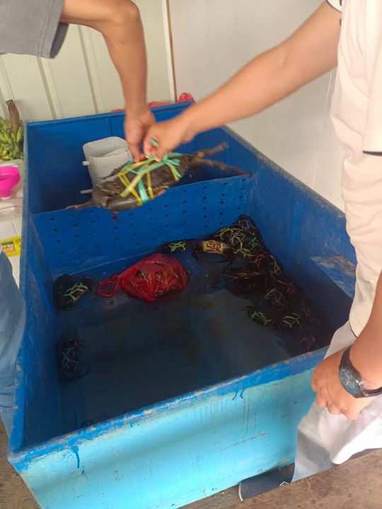 青山集团印尼纬达贝工业园区,青山集团印尼工业园区