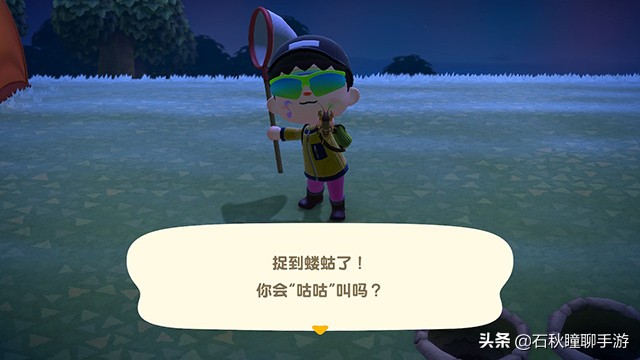 动物之森新手攻略,动物之森100个小技巧