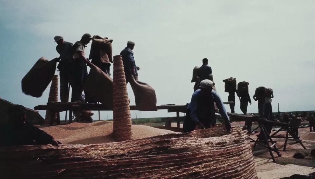 重新认识价值,重新认识东北完整版