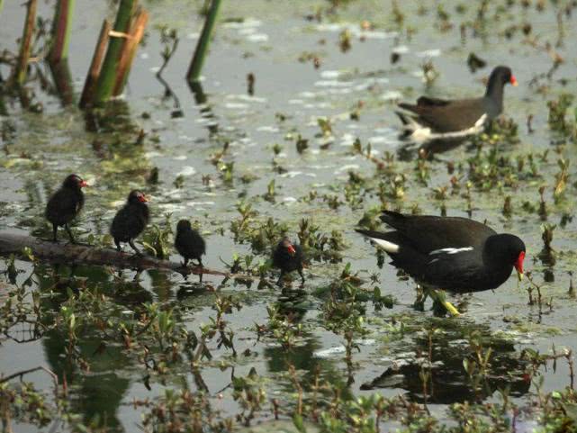 市场缺斤少两被揭穿,市场供不应求