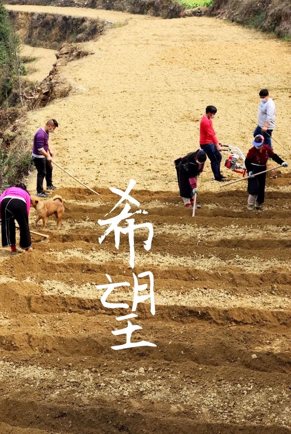 只要机器热起来,就有希望!