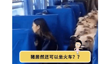 手机进水放进米缸里真的管用吗,手机进水放进米缸有用吗