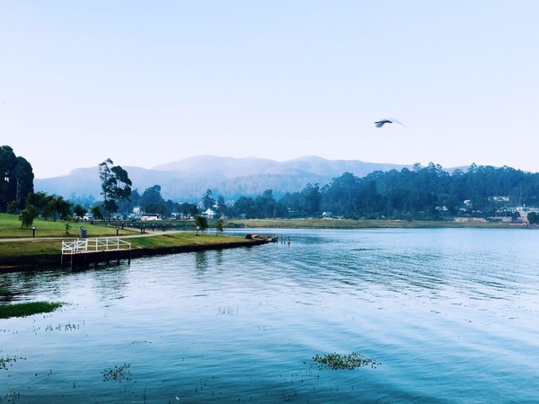 你是我生活远道而来的风景兰卡威斯里兰卡