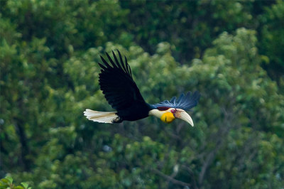 2021浜戝崡鍗佸ぇ鍚嶅搧,浜戝崡鍗佸ぇ鍚嶅搧