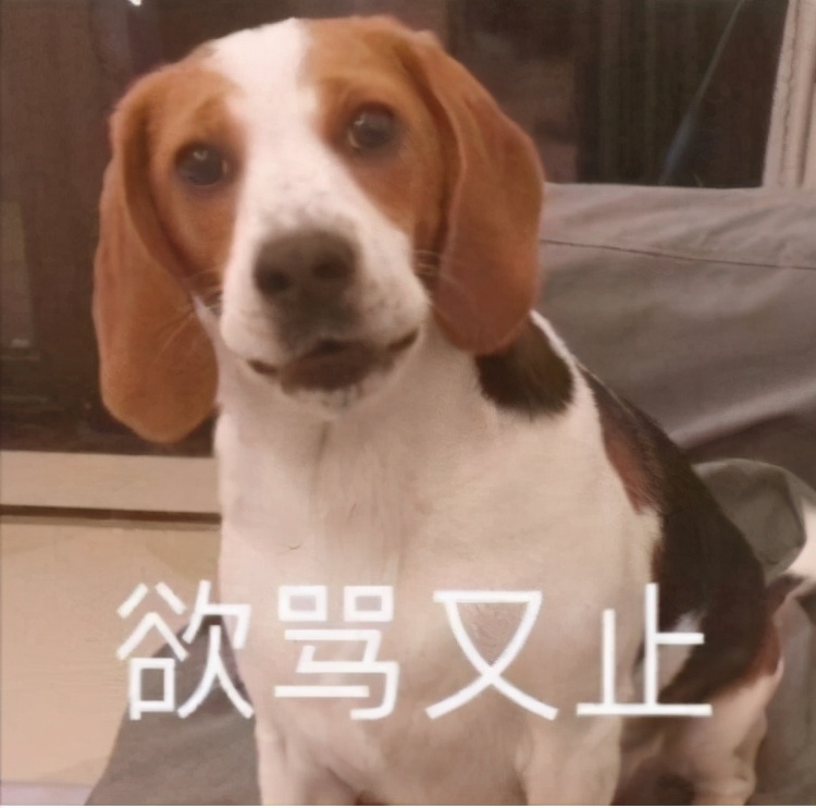 不能轻易谈恋爱的星座是,恋爱时最有骨气的三个星座