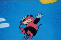 这只黑猫我等了30多年，今天终于断了念想