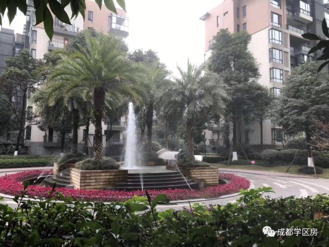 华侨城小学配套什么中学,华侨城对口小学