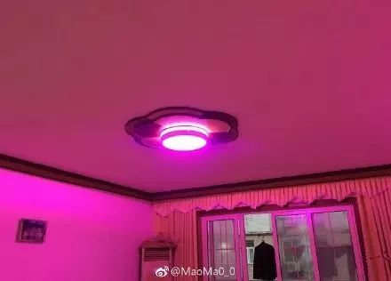 花30万装修新房变公共厕所,装修花了40万感觉被坑了