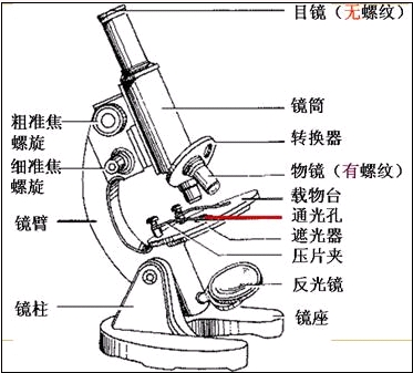 生物学中显微镜的知识点,生物中显微镜的相关知识