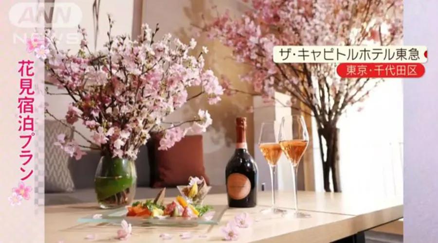 疫情期间为了赏樱花,憋坏了的日本人都想出了哪些另类方法?