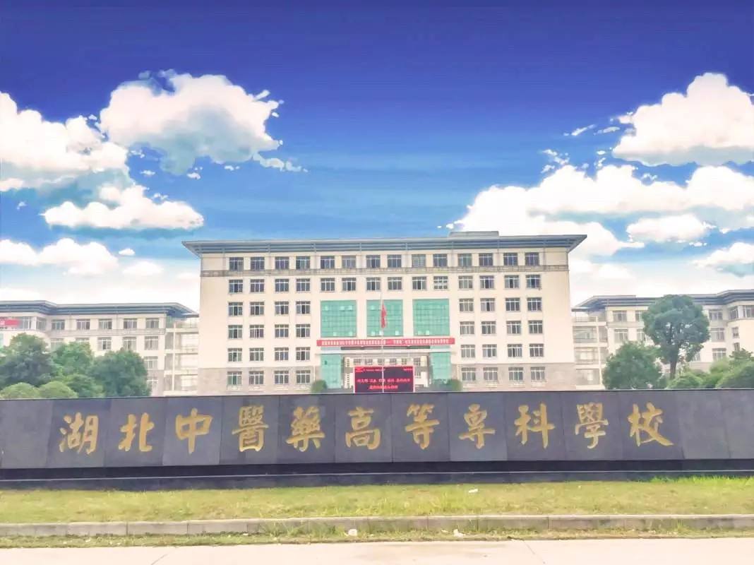 想要学医选什么组合,想学医学专业哪个学校最好