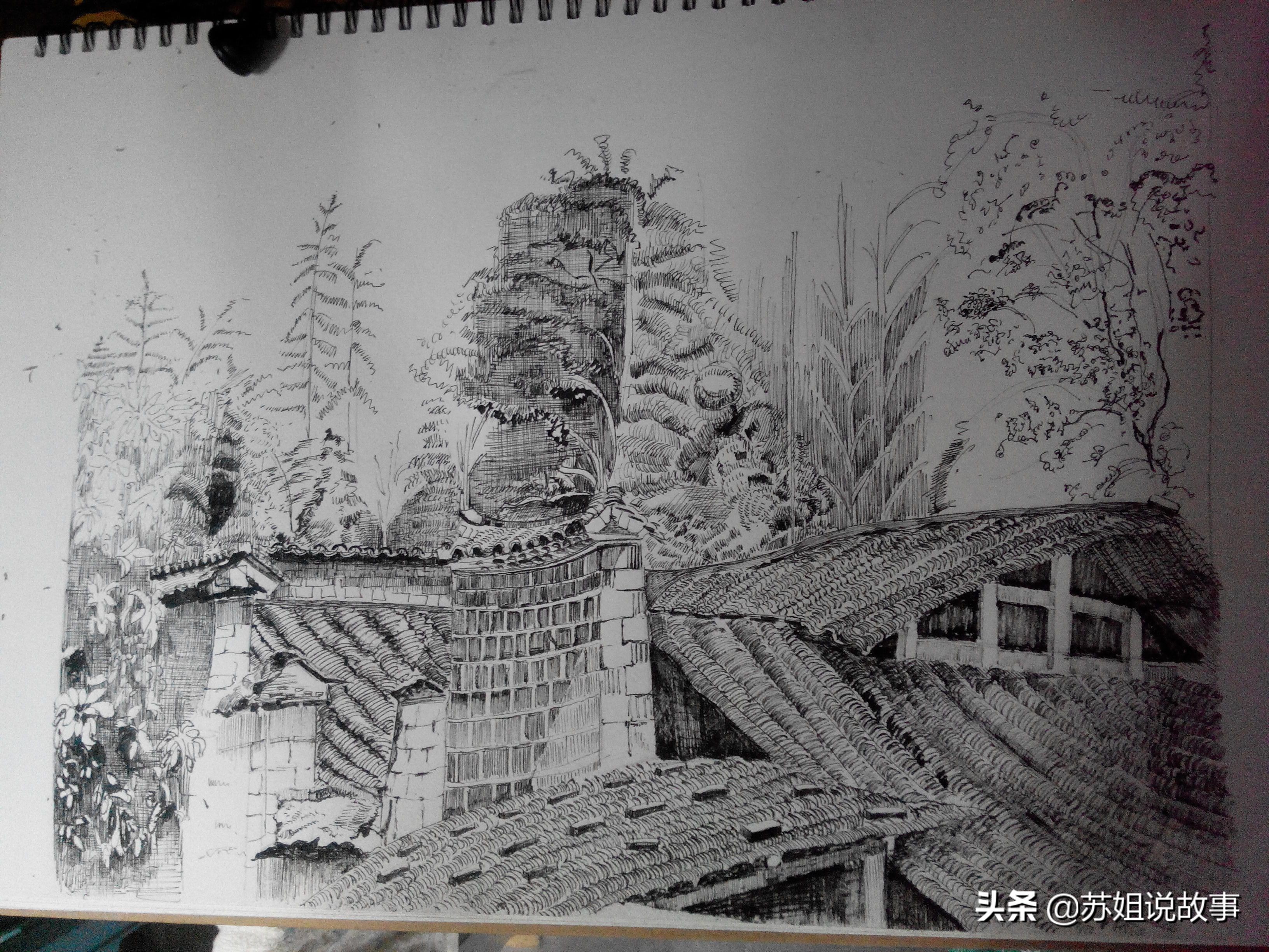 张三针主治什么,张三针针灸视频