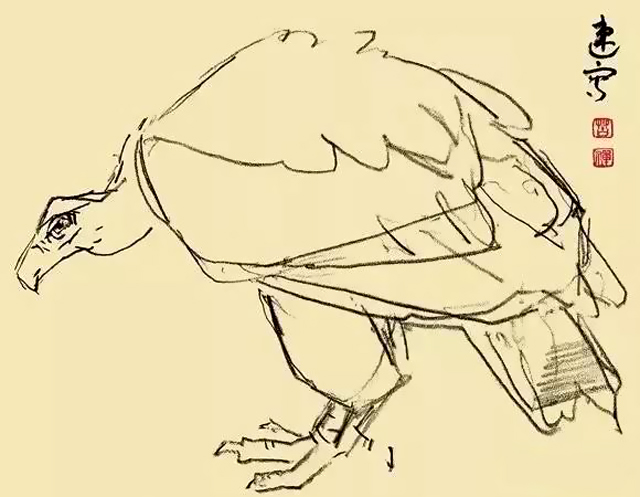 李苦禅的鹰以什么样的笔墨入画,李苦禅的鹰为什么好看