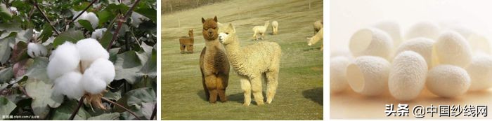 鏈嶈闈㈡枡鍩虹鐭ヨ瘑澶у叏鍥剧墖,鏈嶈闈㈡枡鐭ヨ瘑璁茶В涓绘挱