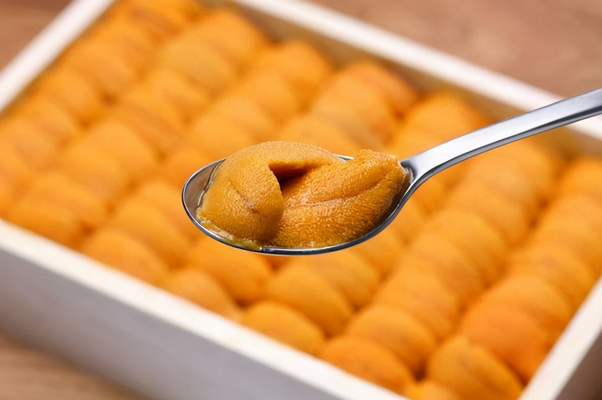 三亚海胆几月份吃最佳,海南这个季节的海胆没有肉么